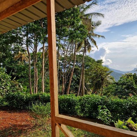 World'S View Wild Camping Salaszoi, Principe Island Santo António Exteriér fotografie
