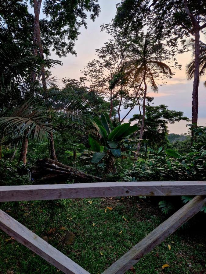 World'S View Wild Camping Salaszoi, Principe Island Santo António Exteriér fotografie